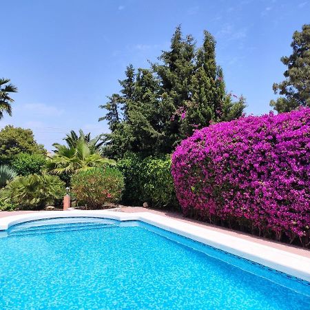Villa With Private Pool, Bbq, Fitness Center & Sauna San Vicente Raspeig Exteriör bild