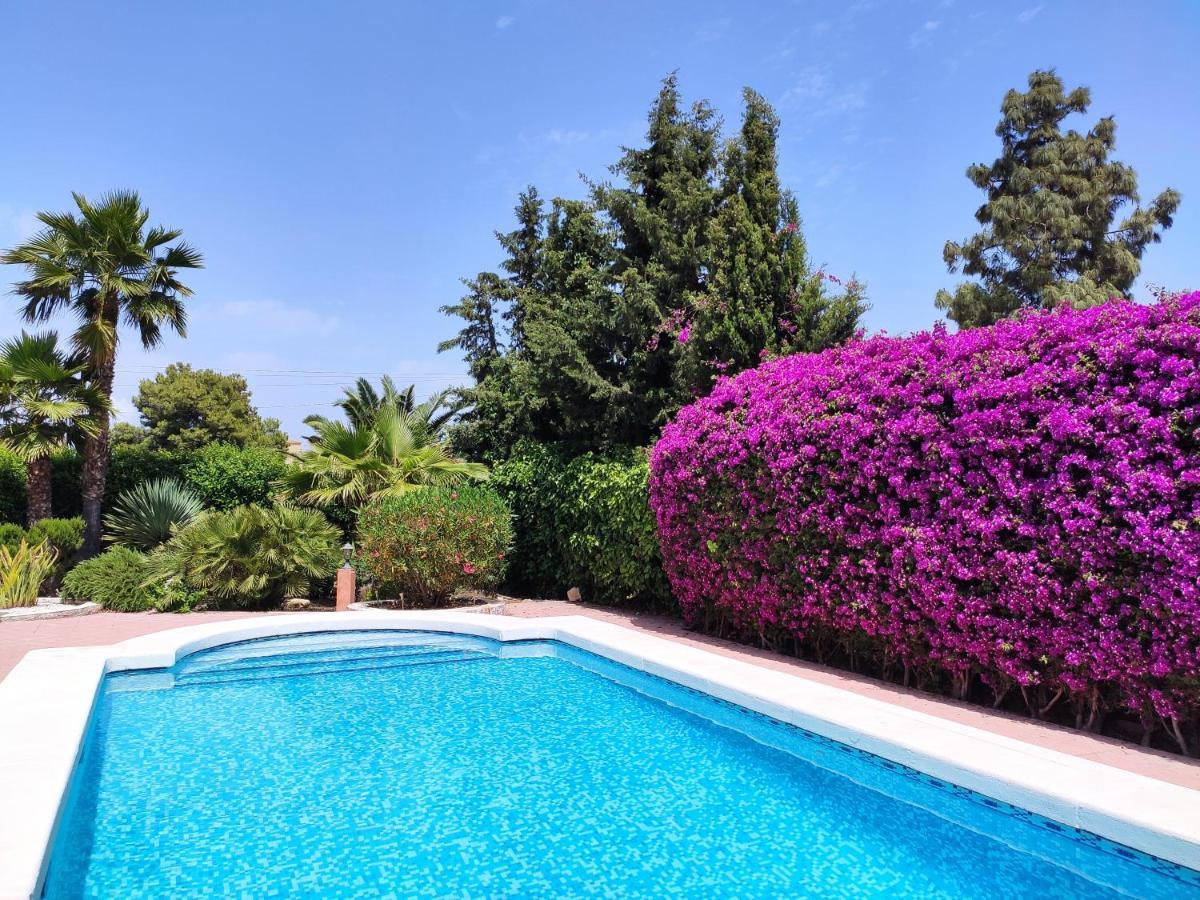 Villa With Private Pool, Bbq, Fitness Center & Sauna San Vicente Raspeig Exteriör bild