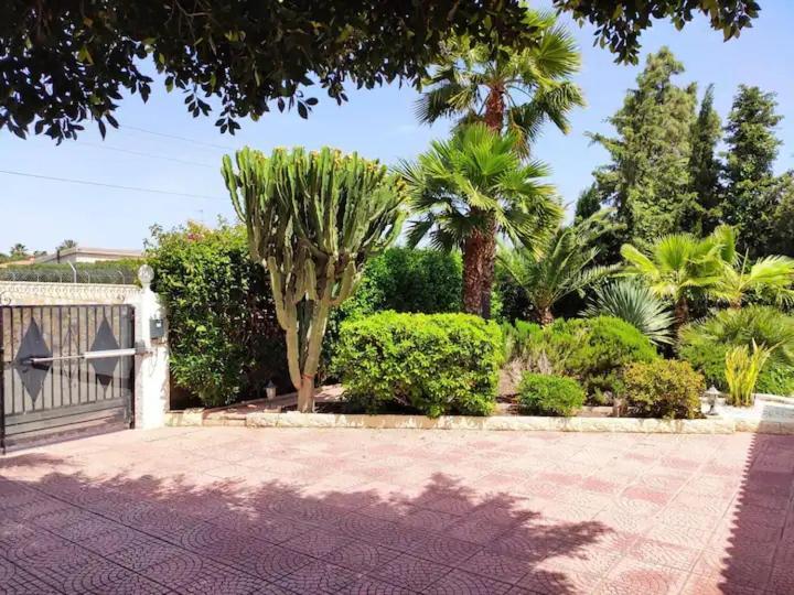 Villa With Private Pool, Bbq, Fitness Center & Sauna San Vicente Raspeig Exteriör bild